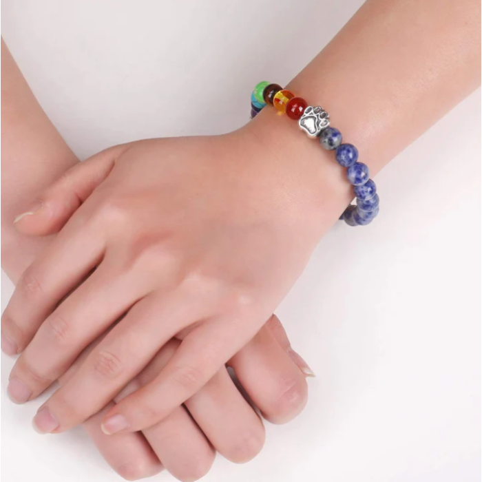 Rainbow Paw Bridge Memorial Bracelet